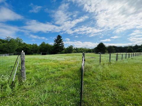2869 Pierce Road Mio Mi 48647 Rd, Mio, MI 48647 photo 37