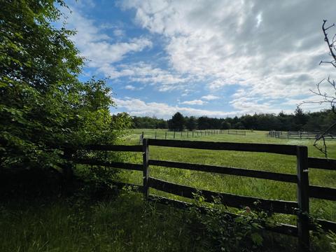 2869 Pierce Road Mio Mi 48647 Rd, Mio, MI 48647 photo 38