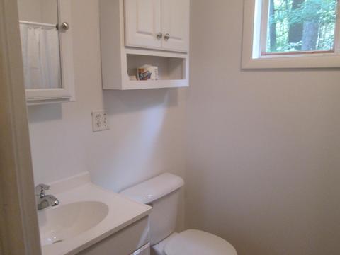 3530 William Street Lewiston Mi 49756 St, Lewiston, MI 49756 photo 12