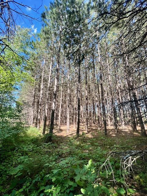 2608 E Reber Road Fairview Mi 48621 Rd, Fairview, MI 48621 photo 56