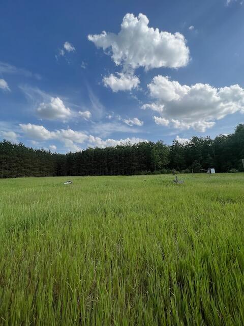 2608 E Reber Road Fairview Mi 48621 Rd, Fairview, MI 48621 photo 60