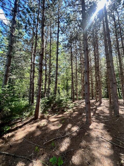 2608 E Reber Road Fairview Mi 48621 Rd, Fairview, MI 48621 photo 14