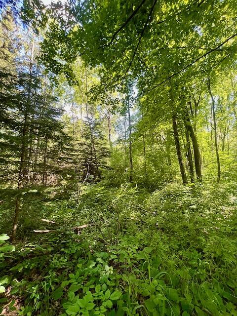 2608 E Reber Road Fairview Mi 48621 Rd, Fairview, MI 48621 photo 53