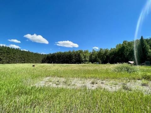 2608 E Reber Road Fairview Mi 48621 Rd, Fairview, MI 48621 photo 46