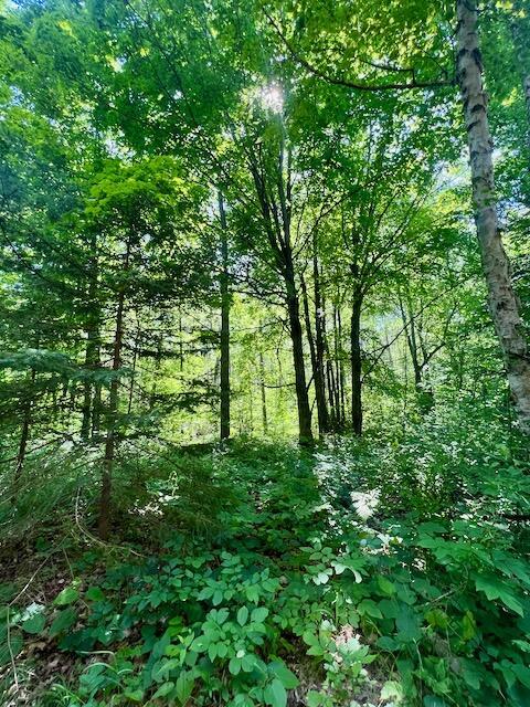 2608 E Reber Road Fairview Mi 48621 Rd, Fairview, MI 48621 photo 10