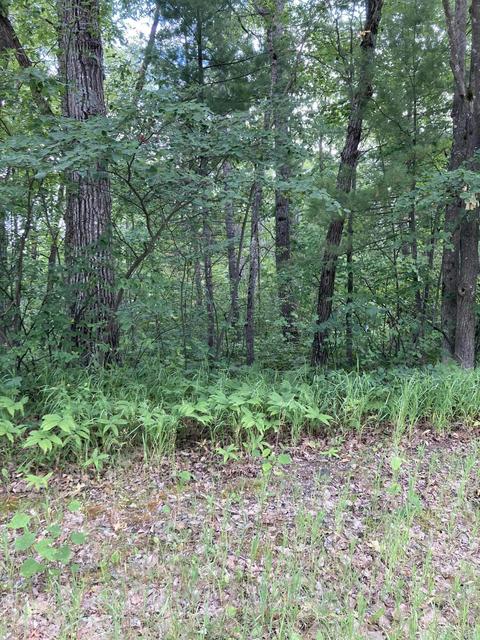 lot26 Co Rd 612 Lewiston Mi 49756, Lewiston, MI 49756