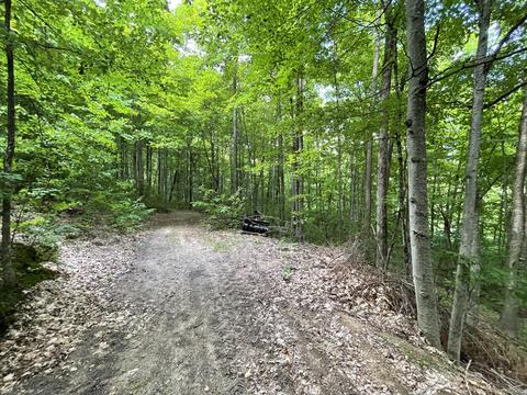 8584 W Cameron Bridge Rd, Frederic, MI 49733 photo 21