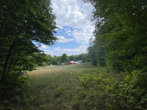 8584 W Cameron Bridge Rd, Frederic, MI 49733 photo 31