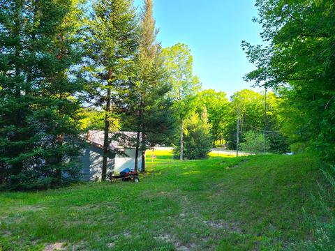8584 W Cameron Bridge Rd, Frederic, MI 49733 photo 4
