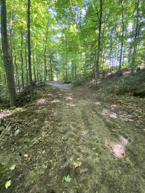 8584 W Cameron Bridge Rd, Frederic, MI 49733 photo 24