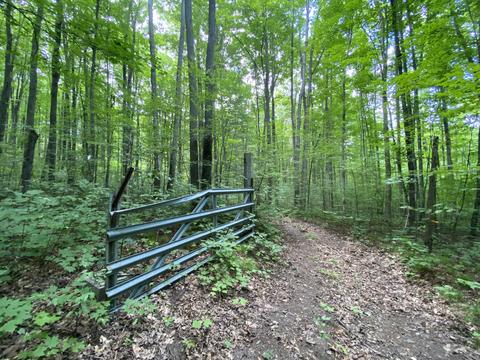 8584 W Cameron Bridge Rd, Frederic, MI 49733 photo 28