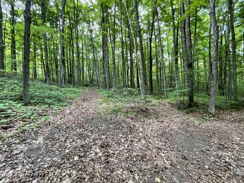 8584 W Cameron Bridge Rd, Frederic, MI 49733 photo 20