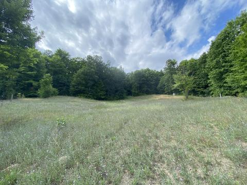 8584 W Cameron Bridge Rd, Frederic, MI 49733 photo 30