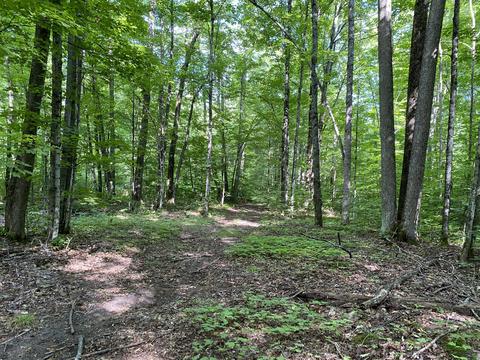 8584 W Cameron Bridge Rd, Frederic, MI 49733 photo 25