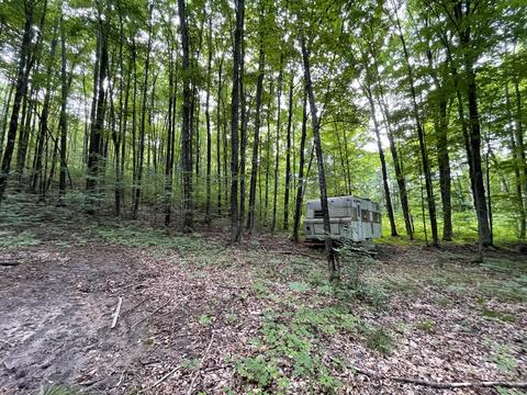 8584 W Cameron Bridge Rd, Frederic, MI 49733 photo 19