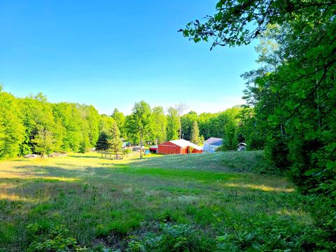 8584 W Cameron Bridge Rd, Frederic, MI 49733 photo 3
