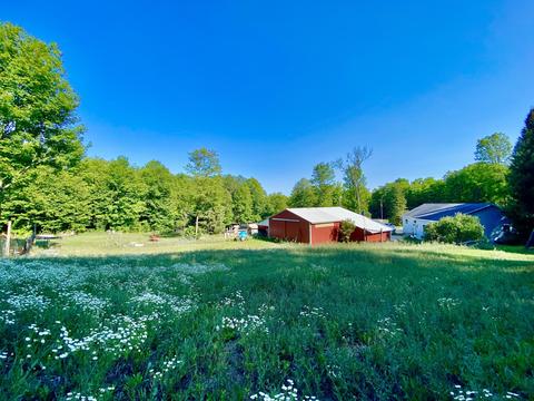 8584 W Cameron Bridge Rd, Frederic, MI 49733 photo 6
