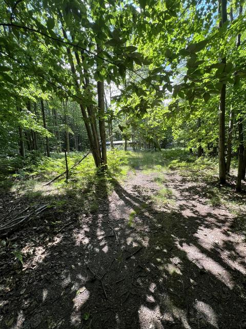11835 W 16 Rd, Mesick, MI 49668 photo 12