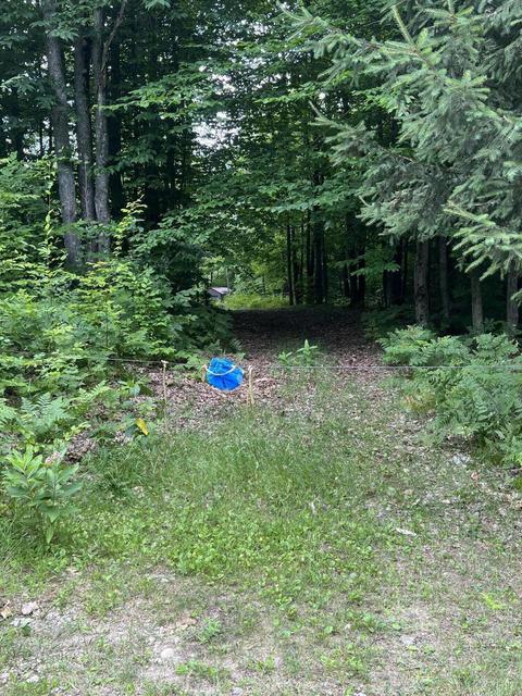 11835 W 16 Rd, Mesick, MI 49668 photo 5