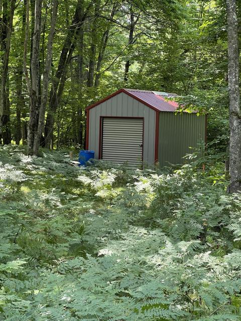 11835 W 16 Rd, Mesick, MI 49668 photo 6