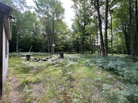 11835 W 16 Rd, Mesick, MI 49668 photo 8