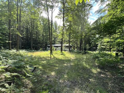 11835 W 16 Rd, Mesick, MI 49668 photo 13