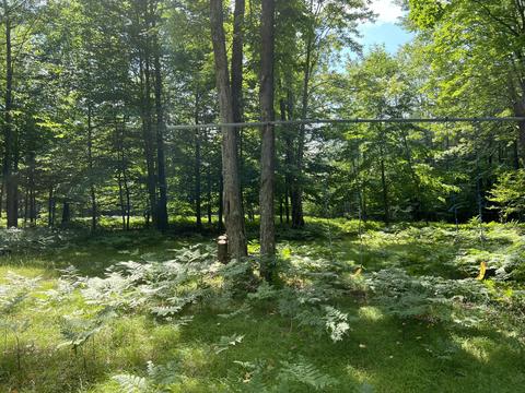 11835 W 16 Rd, Mesick, MI 49668 photo 9
