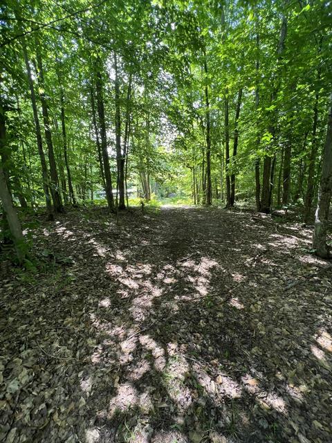 11835 W 16 Rd, Mesick, MI 49668 photo 14