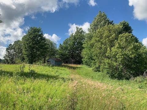 3719 E Burrows Road Wolverine Mi 49799 Rd, Wolverine, MI 49799 photo 19
