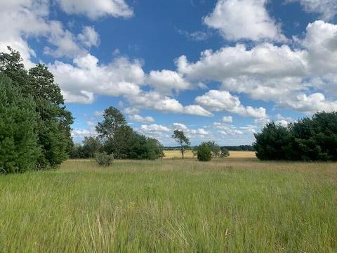 3719 E Burrows Road Wolverine Mi 49799 Rd, Wolverine, MI 49799 photo 1