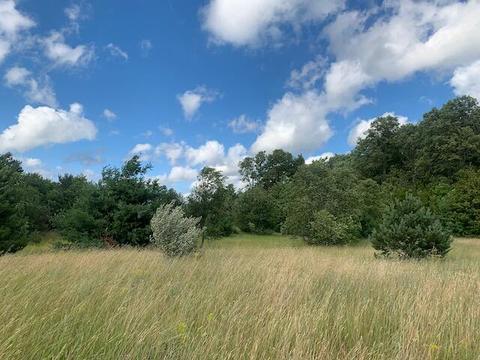 3719 E Burrows Road Wolverine Mi 49799 Rd, Wolverine, MI 49799 photo 7
