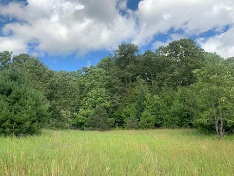 3719 E Burrows Road Wolverine Mi 49799 Rd, Wolverine, MI 49799 photo 9