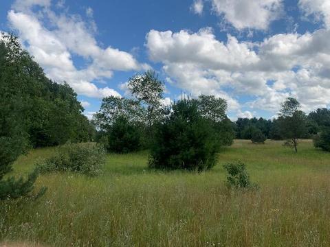 3719 E Burrows Road Wolverine Mi 49799 Rd, Wolverine, MI 49799 photo 11