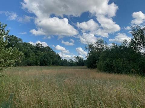 3719 E Burrows Road Wolverine Mi 49799 Rd, Wolverine, MI 49799 photo 16