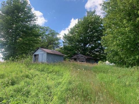 3719 E Burrows Road Wolverine Mi 49799 Rd, Wolverine, MI 49799 photo 2