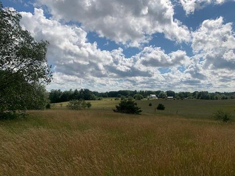 3719 E Burrows Road Wolverine Mi 49799 Rd, Wolverine, MI 49799 photo 6