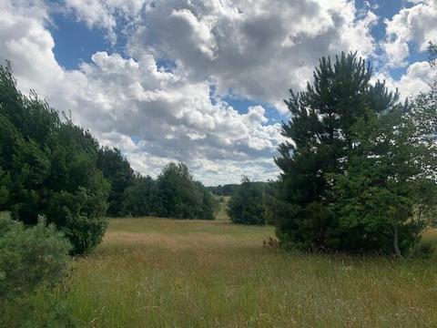3719 E Burrows Road Wolverine Mi 49799 Rd, Wolverine, MI 49799 photo 8