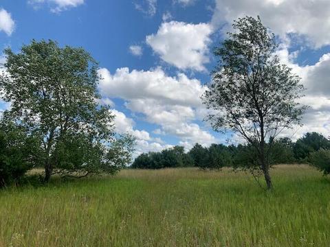 3719 E Burrows Road Wolverine Mi 49799 Rd, Wolverine, MI 49799 photo 10