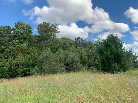 3719 E Burrows Road Wolverine Mi 49799 Rd, Wolverine, MI 49799 photo 13