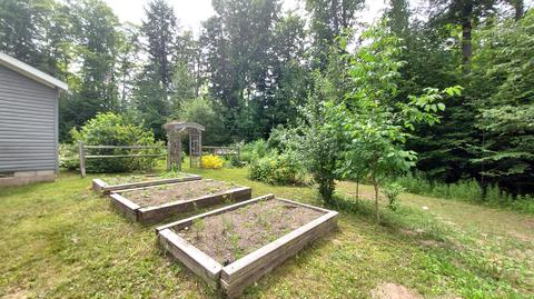 11398 Afton Rd, Wolverine, MI 49799 photo 17
