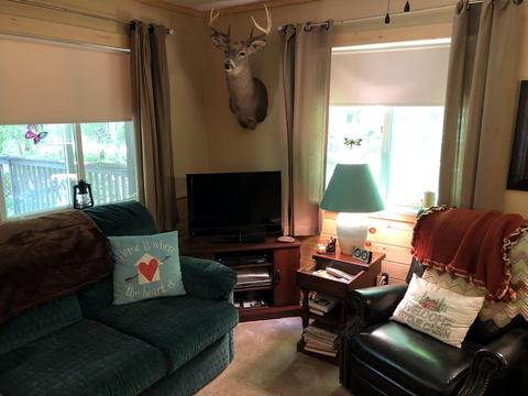 5107 Old Vanderbilt Rd, Vanderbilt, MI 49795 photo 6