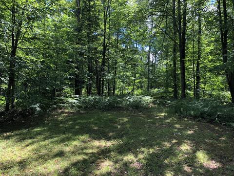 5107 Old Vanderbilt Rd, Vanderbilt, MI 49795 photo 3