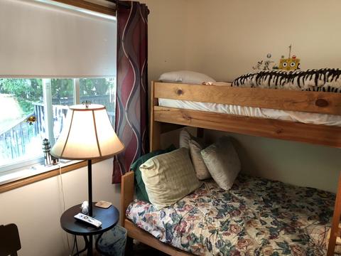 5107 Old Vanderbilt Rd, Vanderbilt, MI 49795 photo 11