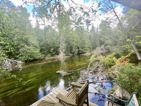 139 Black Bear Dr, Grayling, MI 49738 photo 4