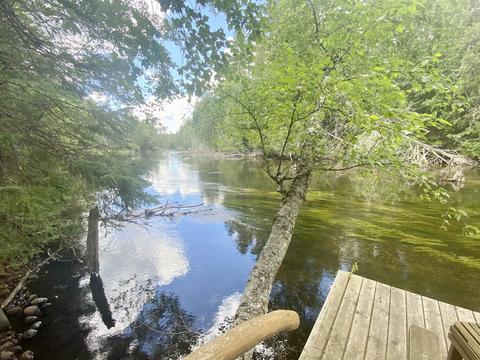 139 Black Bear Dr, Grayling, MI 49738 photo 3