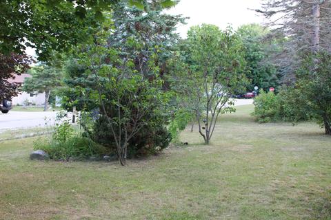 7182 Maple Dr, Alanson, MI 49706 photo 30