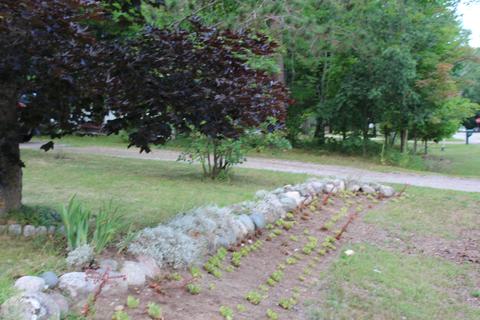 7182 Maple Dr, Alanson, MI 49706 photo 22