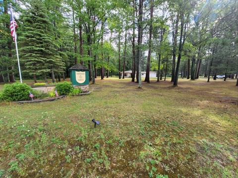 6558 Nottingham Dr, Grayling, MI 49738 photo 3