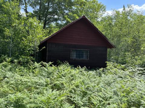 Newman Road, Frederic, MI 49733