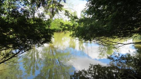Cedarwood Drive, Lachine, MI 49753